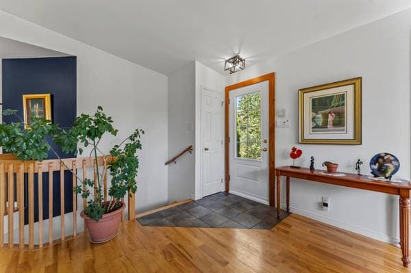 35 Rue de l'Intimité, Eastman — photo 8