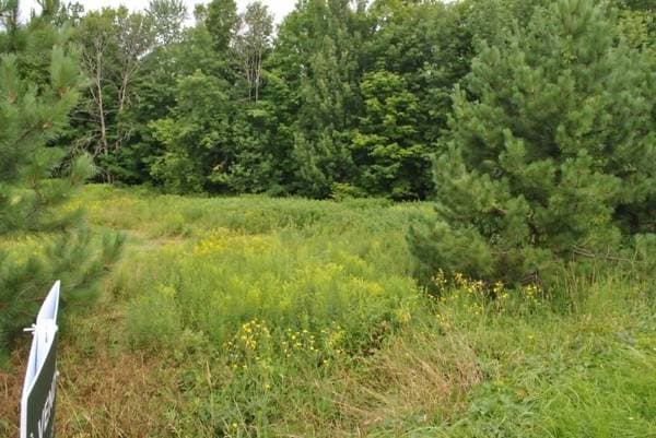 Ch. Allen, Shefford — photo 3