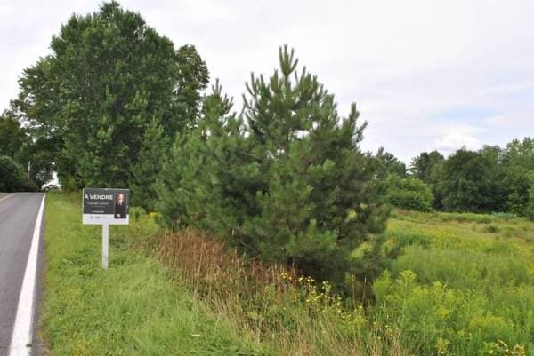 Ch. Allen, Shefford — photo 4