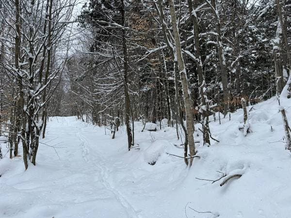 Ch. des Lacs, Wentworth — photo 5