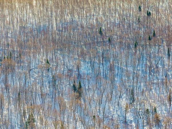 Route 117 S., Rivière-Rouge — photo 3