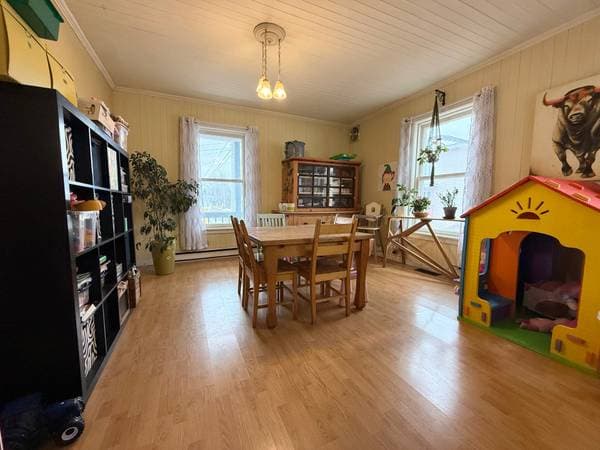 135 Route du Petit-Moulin, Saint-Bruno-de-Kamouraska — photo 16