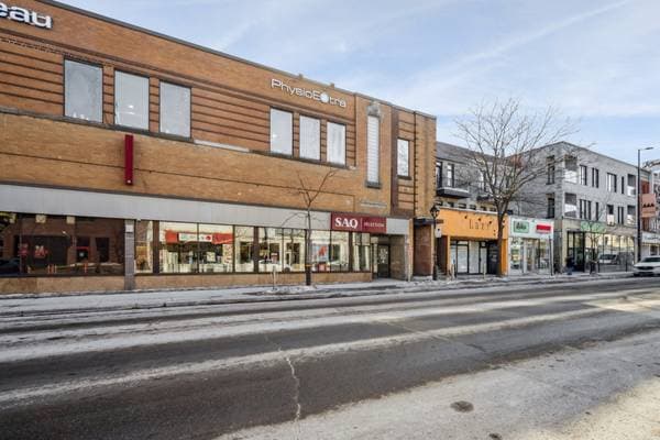 1689 Av. du Mont-Royal E., Montréal (le Plateau-Mont-Royal) — photo 15