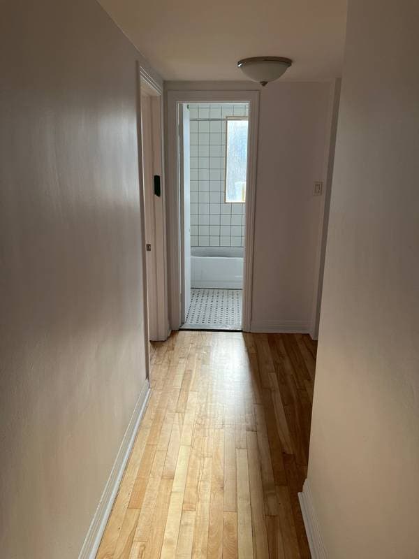 2620 Rue Théodore, Montréal (Mercier/Hochelaga-Maisonneuve) — photo 7