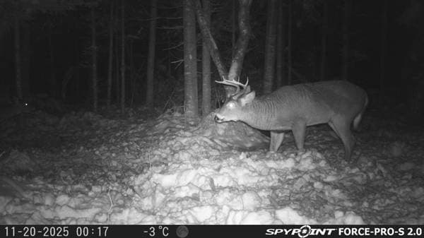 817 Route 255 N., Dudswell — photo 37