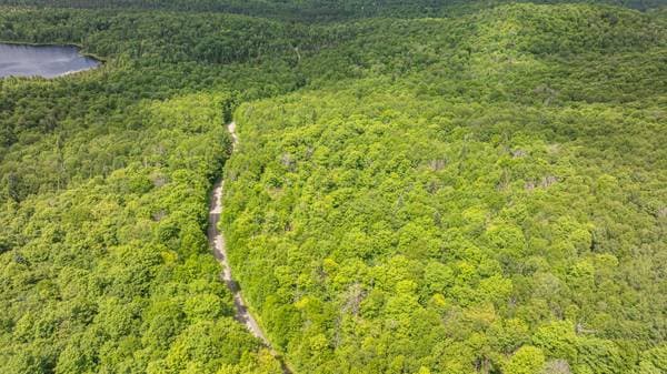 Ch. du Lac-Lauzon, Lac-Supérieur — photo 12