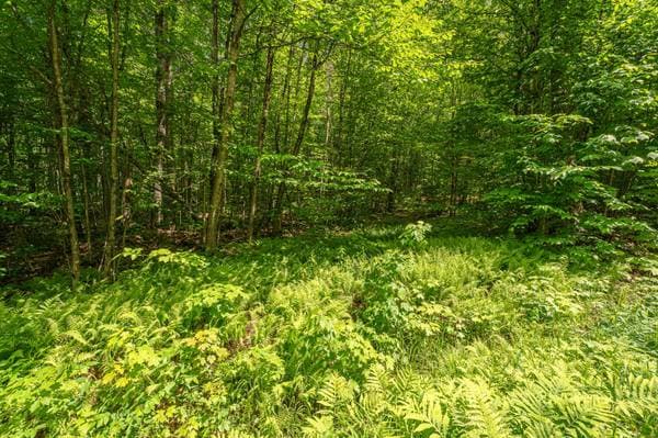 Ch. du Lac-Lauzon, Lac-Supérieur — photo 10