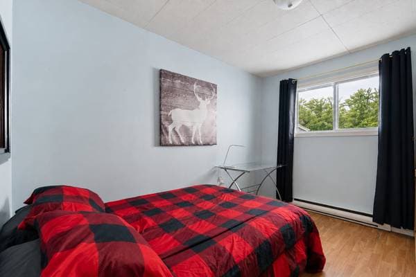365 Ch. du Lac-Alain E., Saint-Raymond — photo 19
