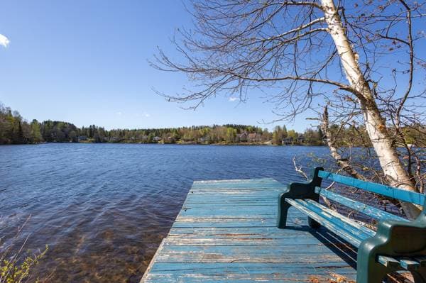365 Ch. du Lac-Alain E., Saint-Raymond — photo 3