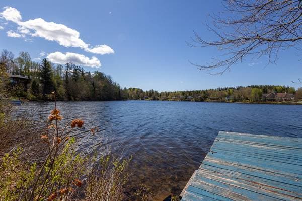 365 Ch. du Lac-Alain E., Saint-Raymond — photo 26