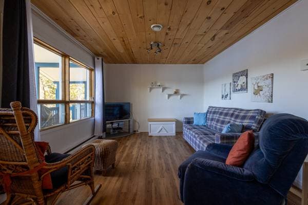 365 Ch. du Lac-Alain E., Saint-Raymond — photo 8