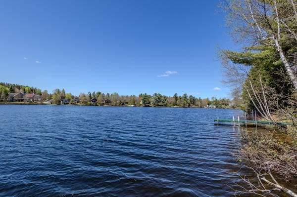 385 Ch. du Lac-Alain E., Saint-Raymond — photo 4