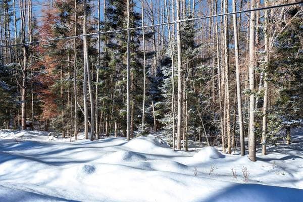 Ch. de la Maison-de-Pierre, Mont-Tremblant — photo 8