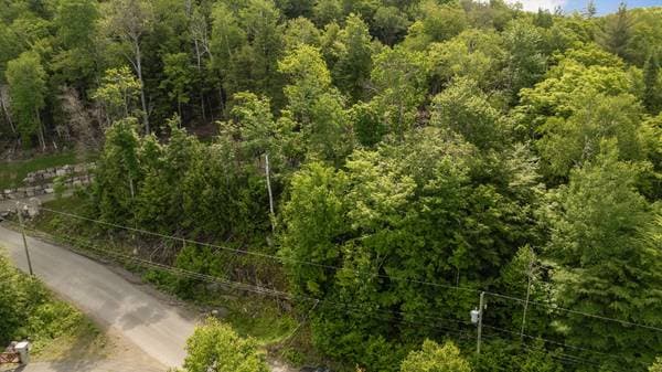 Rue des Arlequins, Sainte-Adèle — photo 10