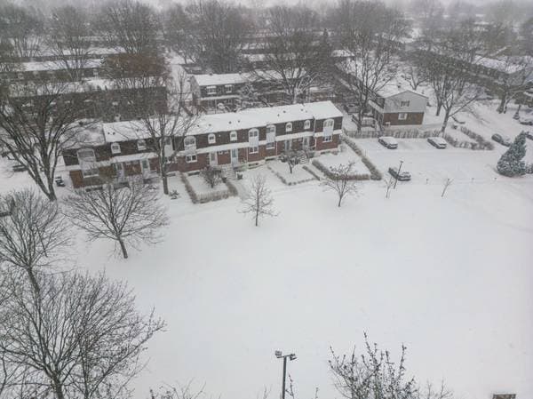 950 Tsse Jacques-Léonard, Montréal (Rivière-des-Prairies/Pointe-aux-Trembles) — photo 33