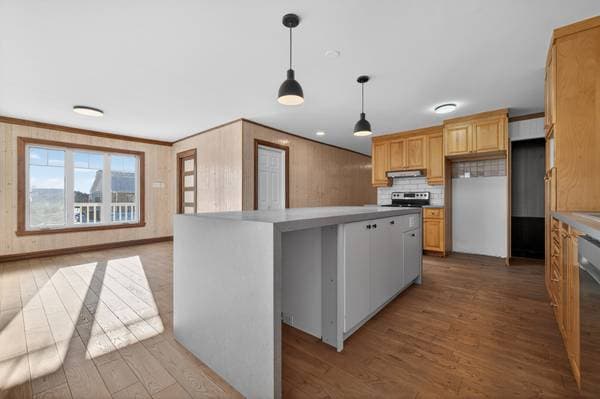 264 Rue Principale, Saint-Gabriel-de-Rimouski — photo 14