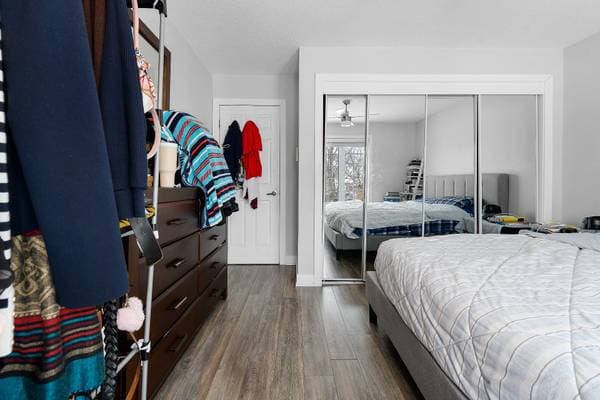 76 Rue Radmore, Gatineau (Gatineau) — photo 12