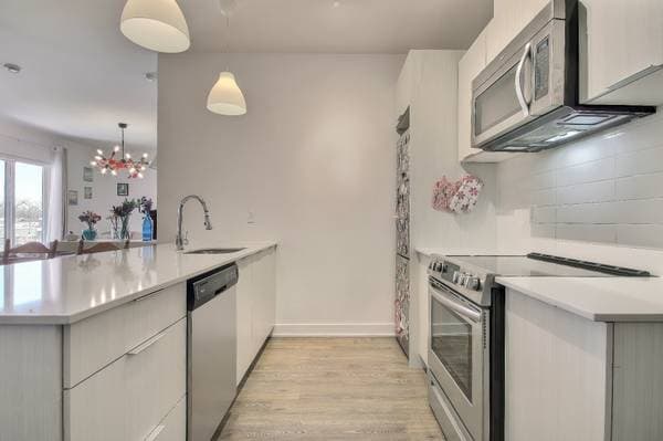 6463 Av. De Lorimier #305, Montréal (Rosemont/la Petite-Patrie) — photo 7