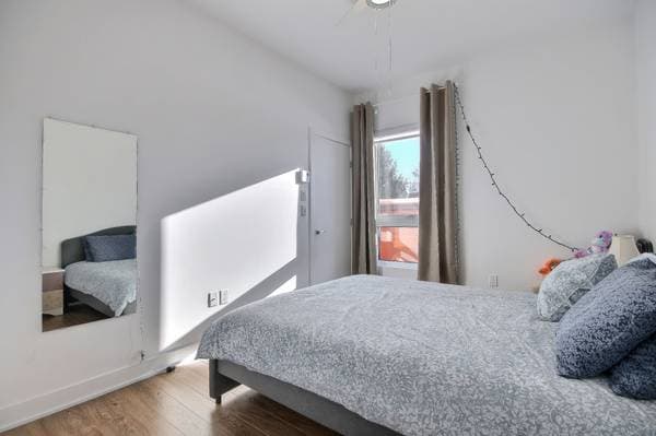 6463 Av. De Lorimier #305, Montréal (Rosemont/la Petite-Patrie) — photo 9