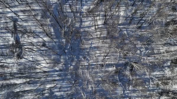 Ch. de la Côte-aux-Trembles, Lac-Supérieur — photo 10