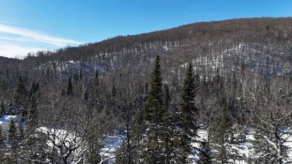 Ch. de la Côte-aux-Trembles, Lac-Supérieur — photo 13