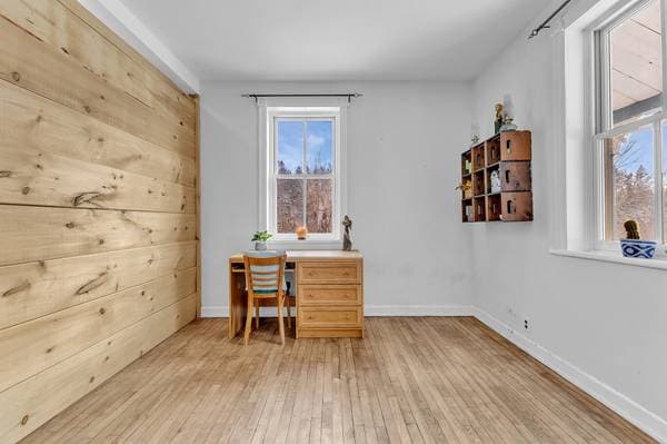 110Z Ch. Fierobin, Thorne — photo 16