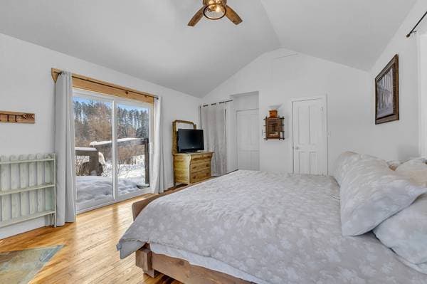 110Z Ch. Fierobin, Thorne — photo 19