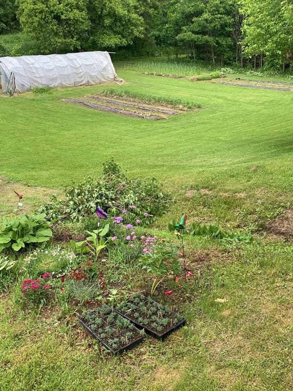 110Z Ch. Fierobin, Thorne — photo 39
