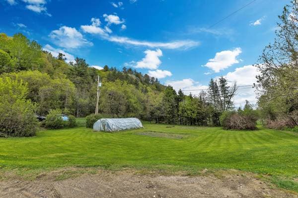 110Z Ch. Fierobin, Thorne — photo 74