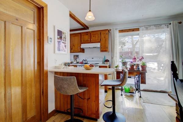 1254 Rue Champlain, Sherbrooke (les Nations) — photo 26