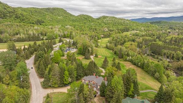 1752 Ch. du Golf, Mont-Tremblant — photo 34