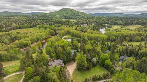 1752 Ch. du Golf, Mont-Tremblant — photo 38