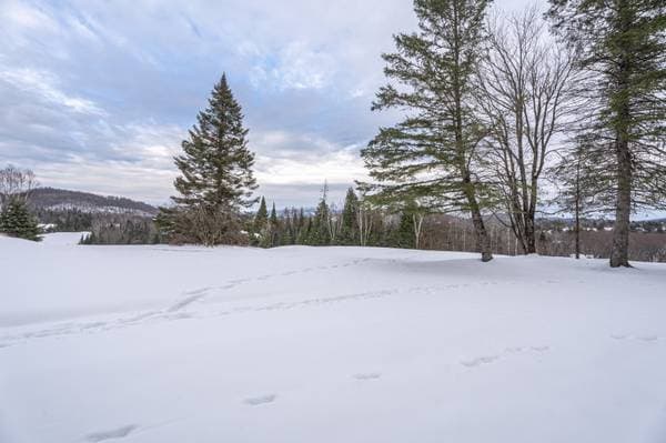 1752 Ch. du Golf, Mont-Tremblant — photo 43