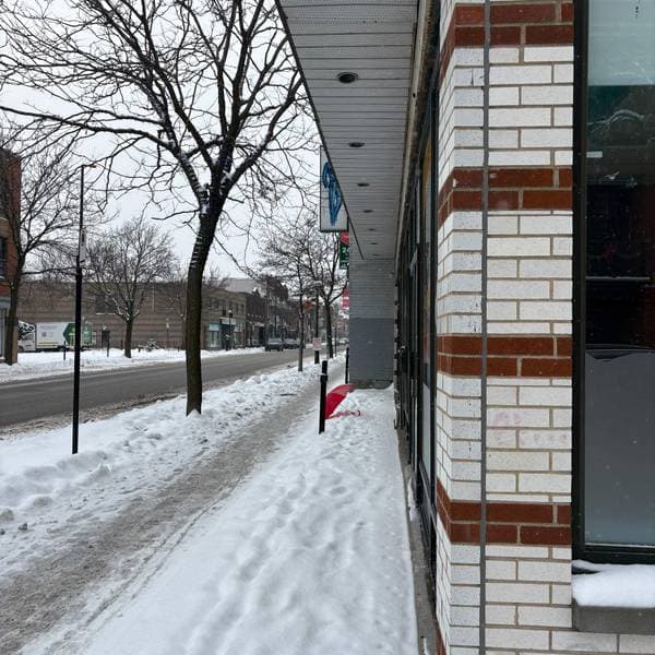2431 -2437 Av. du Mont-Royal E., Montréal (le Plateau-Mont-Royal) — photo 10