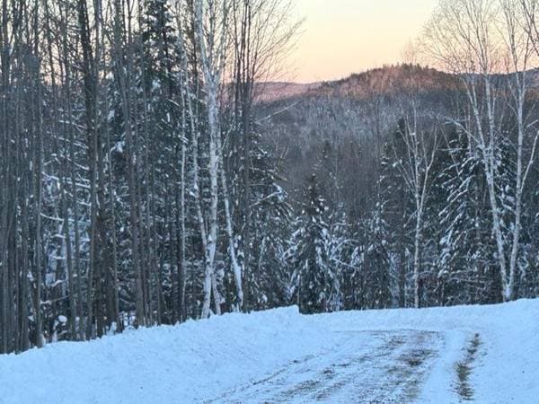 839 Rg Sacacomie #37, Saint-Alexis-des-Monts — photo 2