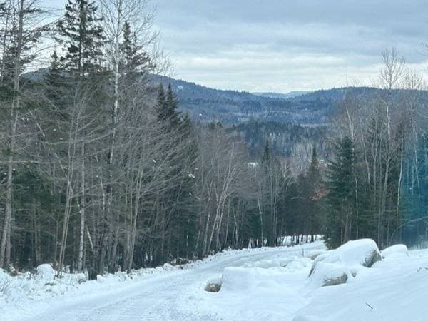 839 Rg Sacacomie #37, Saint-Alexis-des-Monts — photo 4