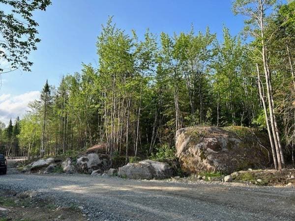 839 Rg Sacacomie #37, Saint-Alexis-des-Monts — photo 5