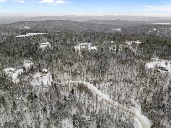 Ch. de la Source, Sainte-Lucie-des-Laurentides — photo 6