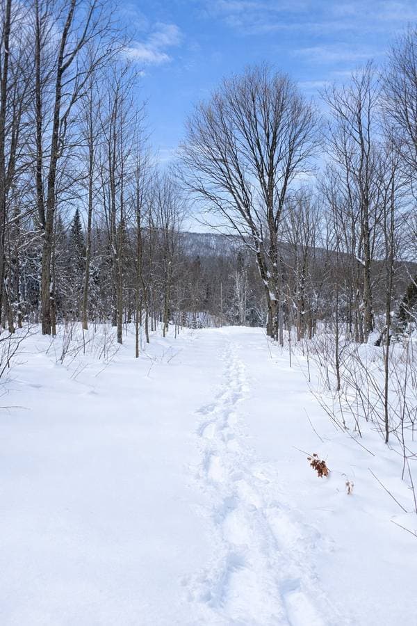 Ch. Gagnon, Saint-Gabriel-de-Rimouski — photo 2
