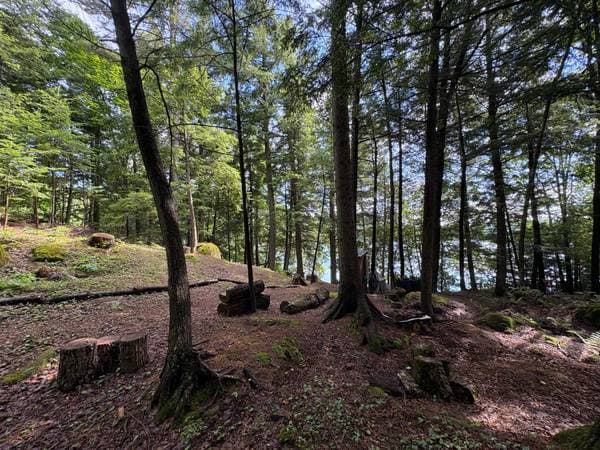 Ch. du Lac-Verdure N., Montcalm — photo 4