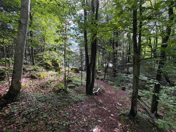 Ch. du Lac-Verdure N., Montcalm — photo 6