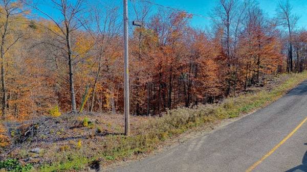 Rue des Huarts, Morin-Heights — photo 13