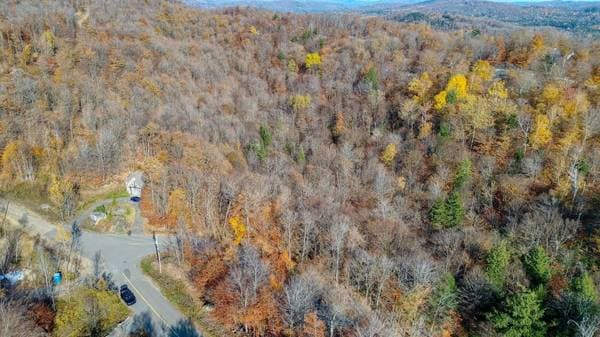 Rue des Huarts, Morin-Heights — photo 12