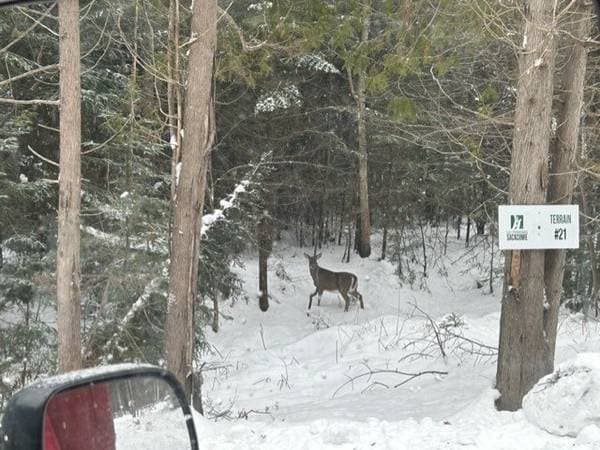 839 Rg Sacacomie #38, Saint-Alexis-des-Monts — photo 4