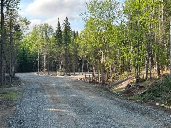 839 Rg Sacacomie #38, Saint-Alexis-des-Monts — photo 5
