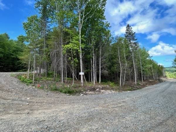 839 Rg Sacacomie #38, Saint-Alexis-des-Monts — photo 6