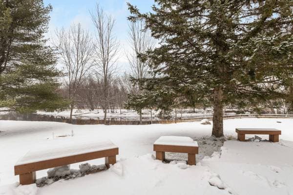 1150 Ch. de la Plage-Vanier, Mont-Tremblant — photo 19