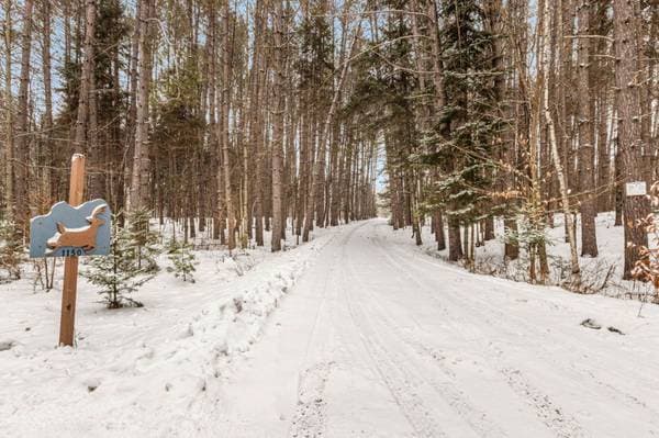1150 Ch. de la Plage-Vanier, Mont-Tremblant — photo 27