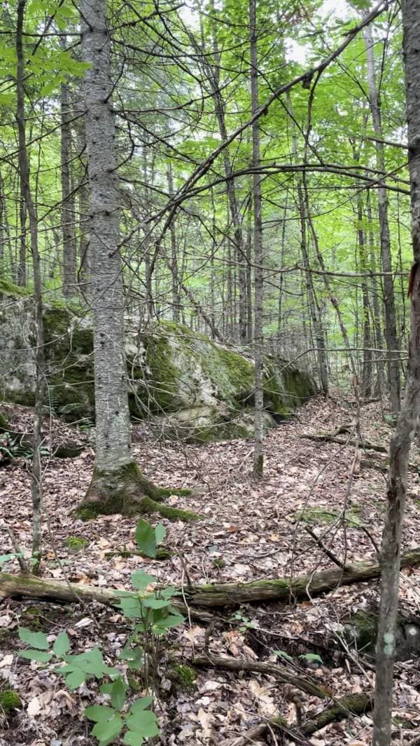 Ch. Marier, Lac-des-Plages — photo 1