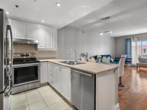 2535 Rue Modugno #603, Montréal (Saint-Laurent) — photo 10